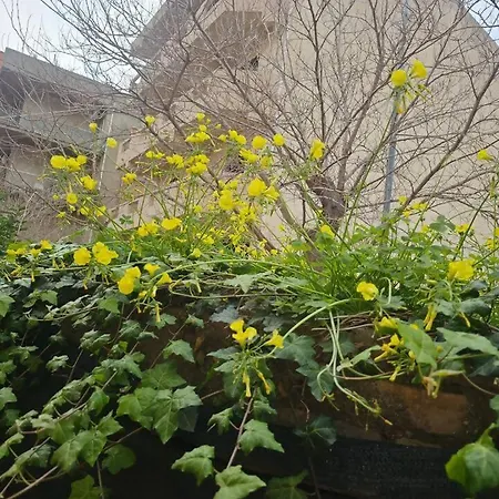 Apartment Tra Mare E Terra Reggio Calabria *